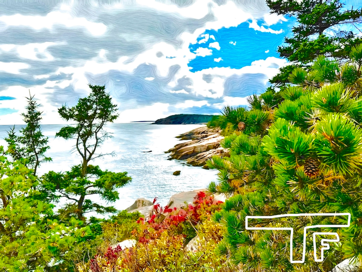 Acadia National Park #1