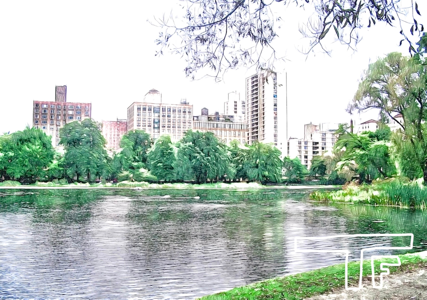 Central Park, New York