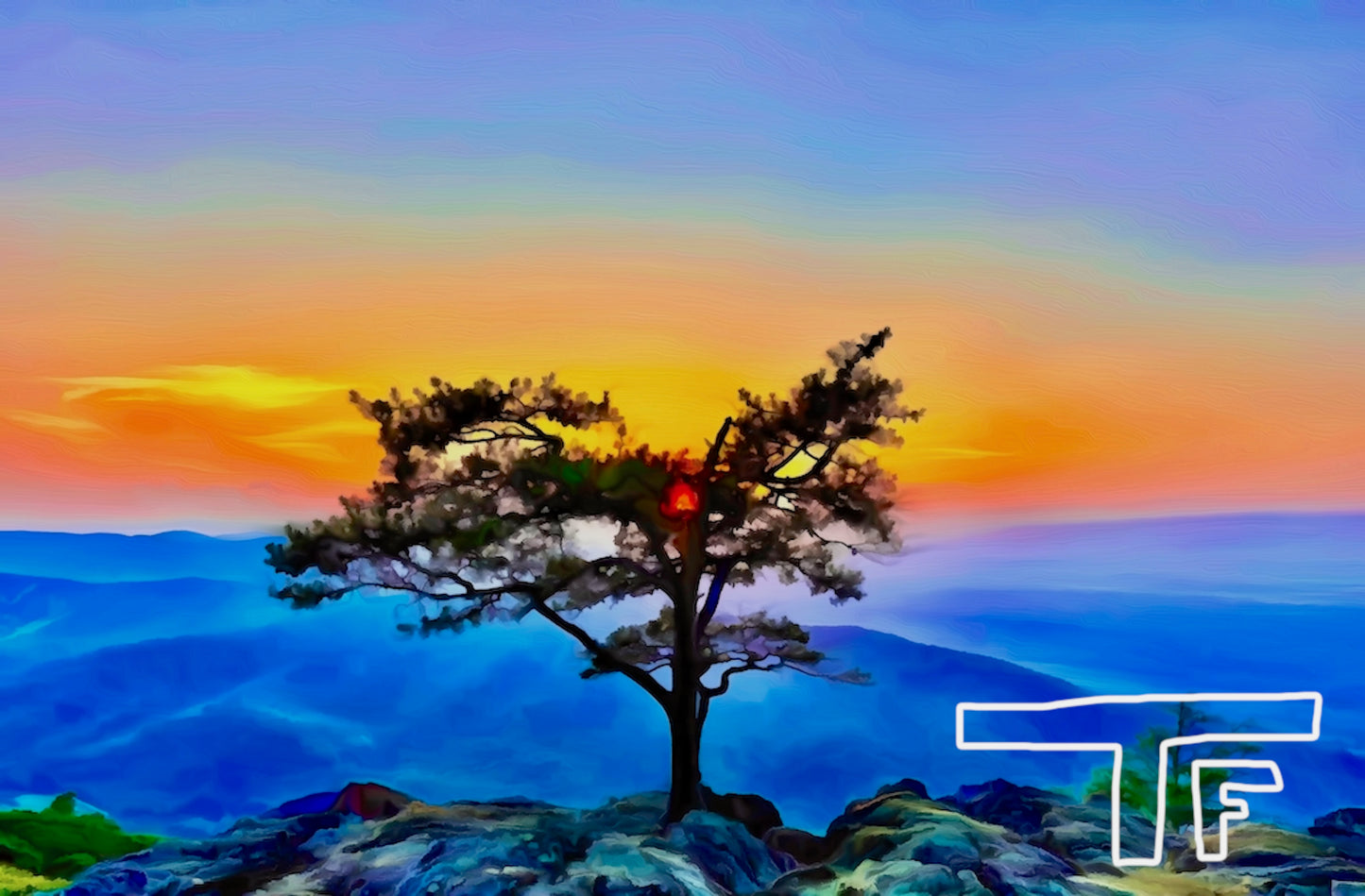 Shenandoah National Park #1