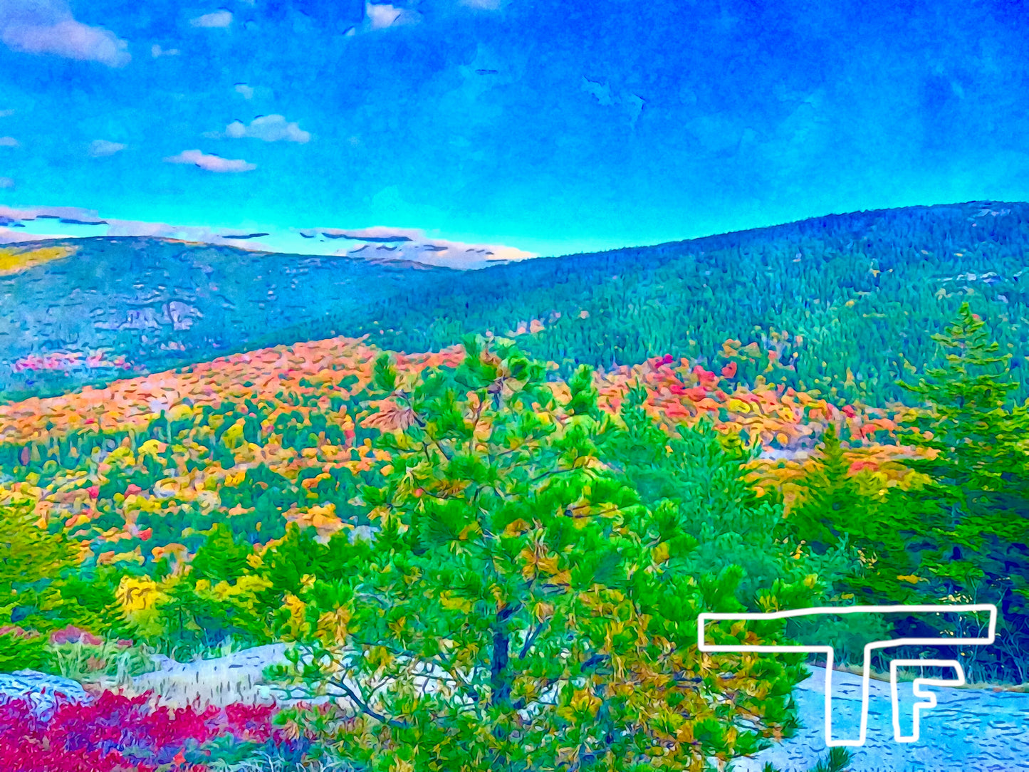 Acadia National Park #2