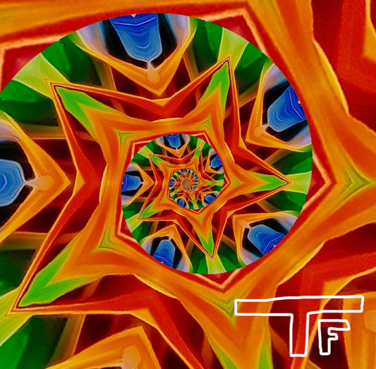 Bird of Paradise [distorted]