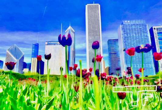 Chicago Flowers #1
