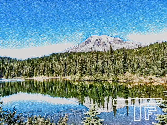 Mount Rainier National Park #1