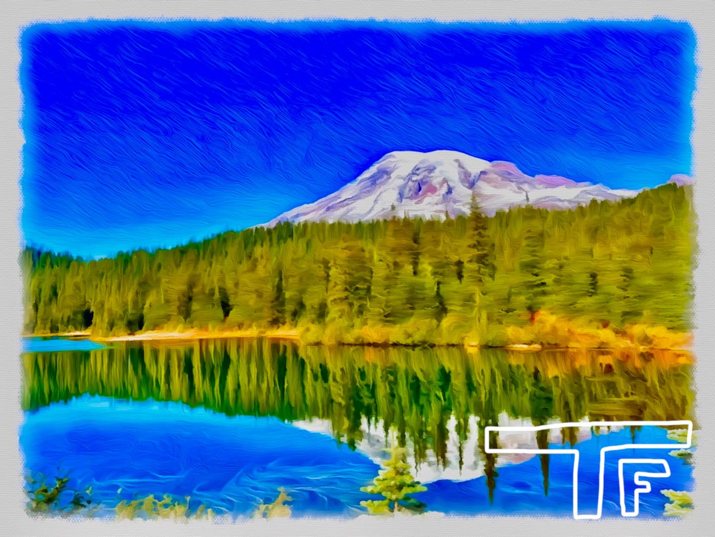 Mount Rainier National Park #1