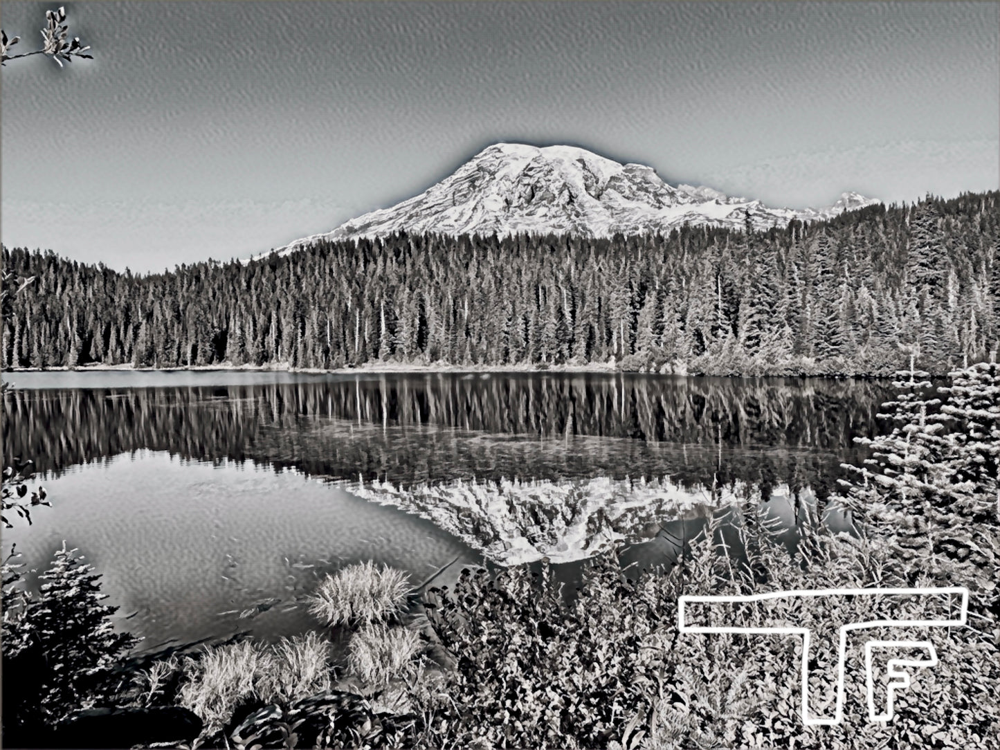 Mount Rainier National Park #1