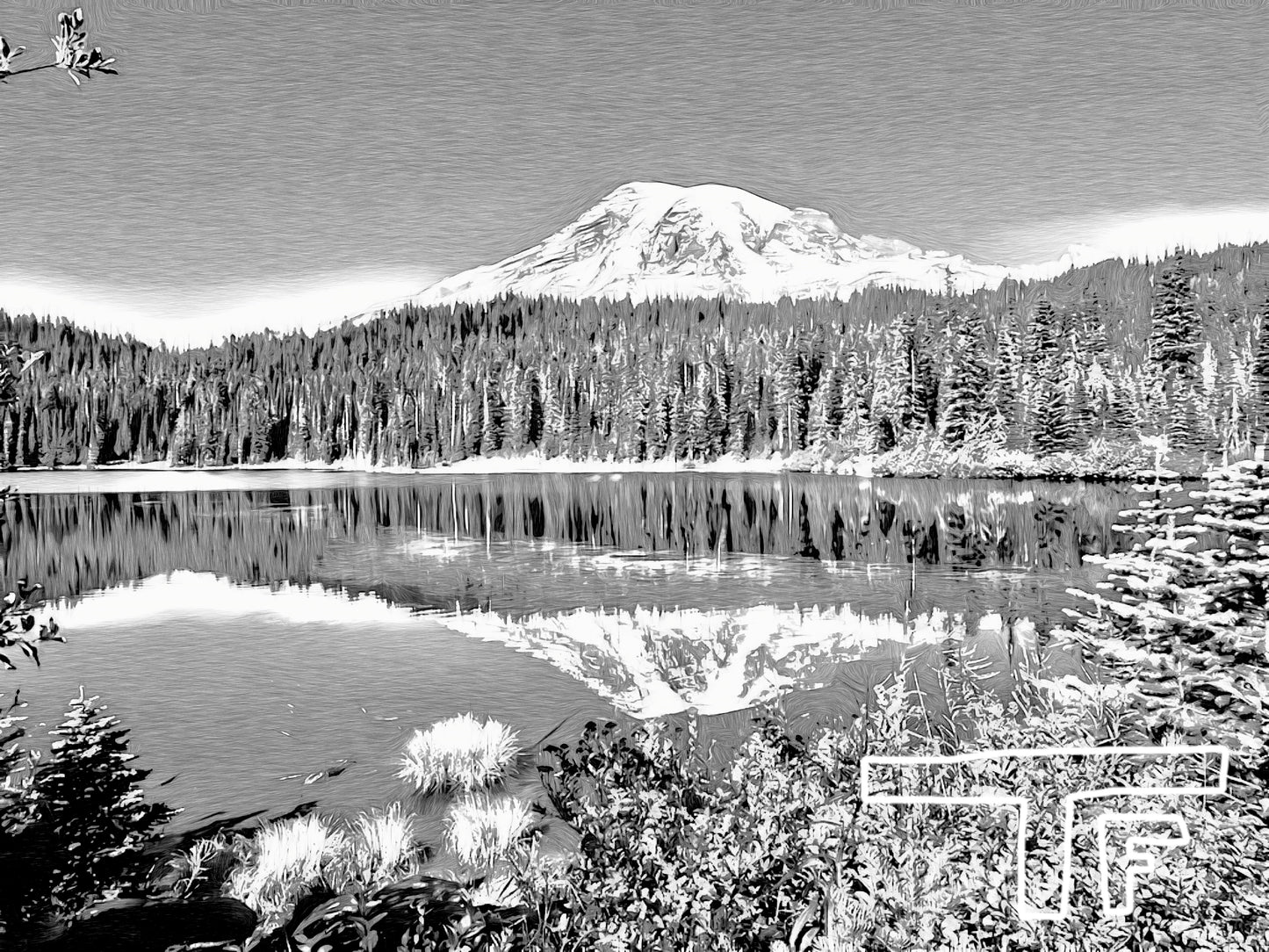 Mount Rainier National Park #1