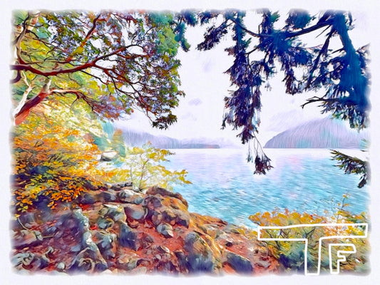 Olympic National Park #2