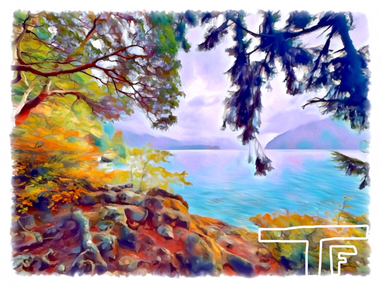 Olympic National Park #2