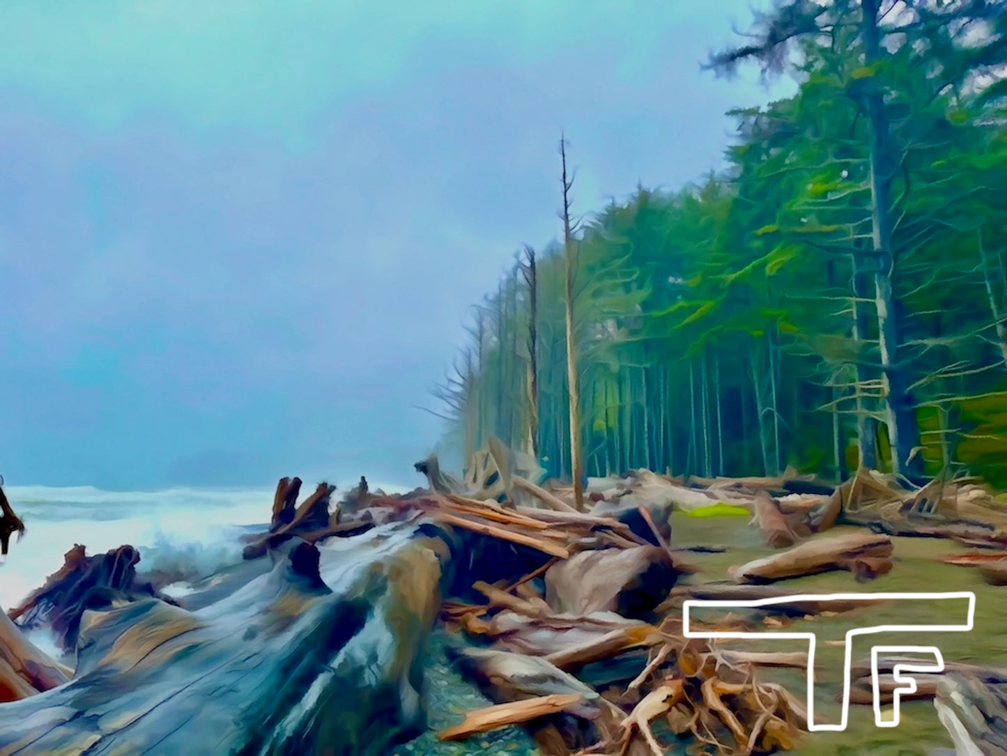 Olympic National Park #1