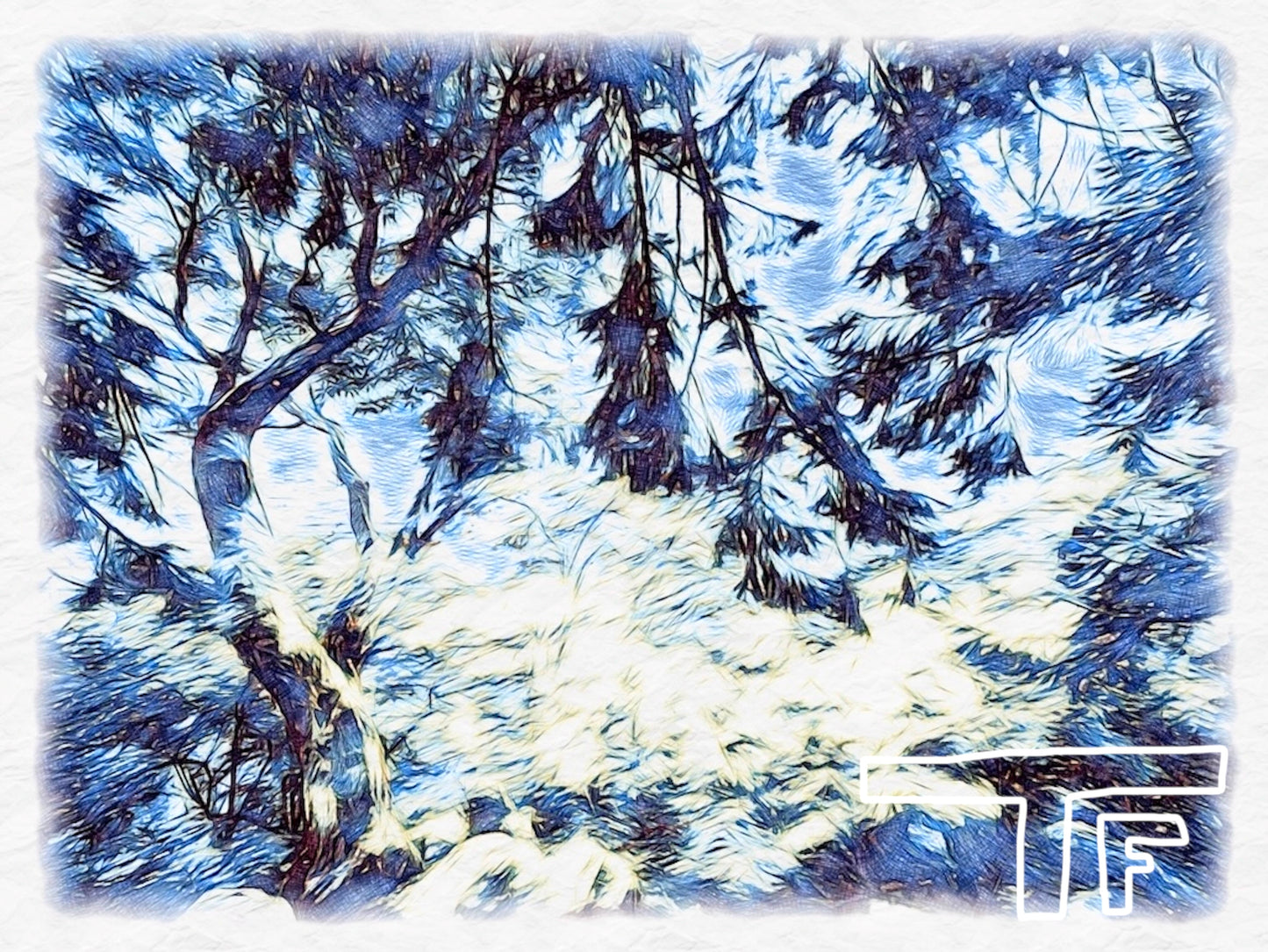 Olympic National Park #2