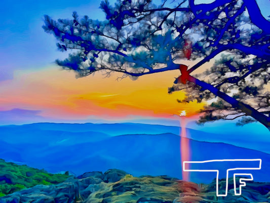 Shenandoah National Park #2