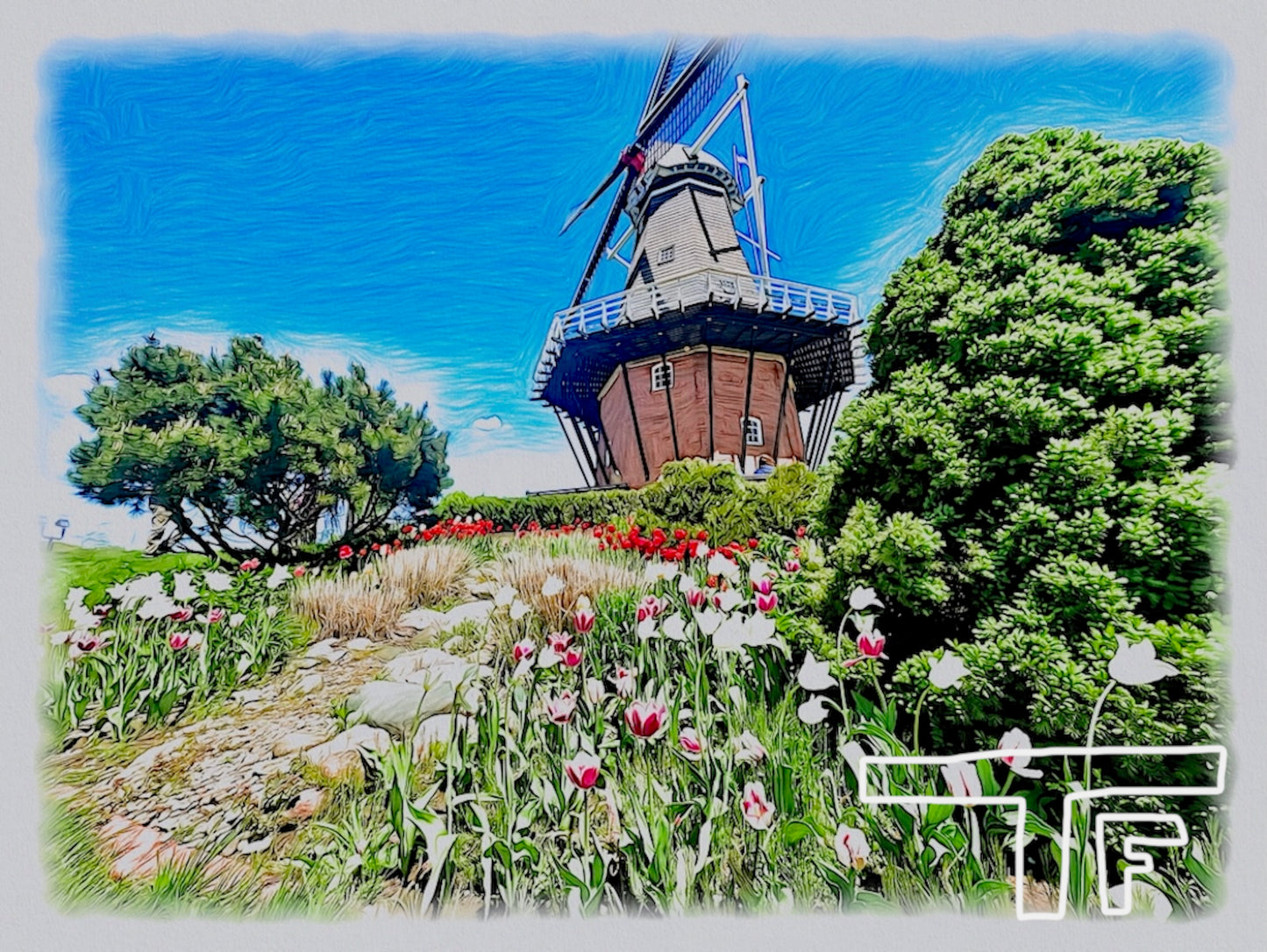 Windmills in Holland, MI