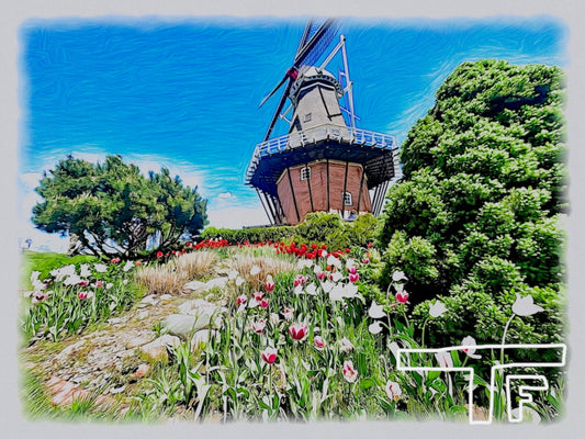 Windmills in Holland, MI